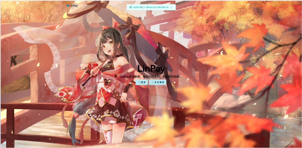 2024首发最新LinPay码支付免授权版，LinPay码支付官网，码支付，源支付-恒创联盟资源网