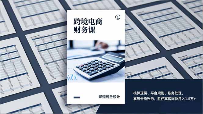 跨境电商财务课，核算逻辑、平台规则、账务处理，掌握全盘账务，胜任高薪岗位月入1.5万+-恒创联盟资源网