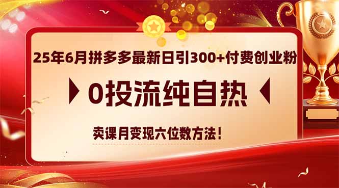 25年6月拼多多最新日引300+付费创业粉，0投流纯自热 卖课月变现六位数方法-恒创联盟资源网