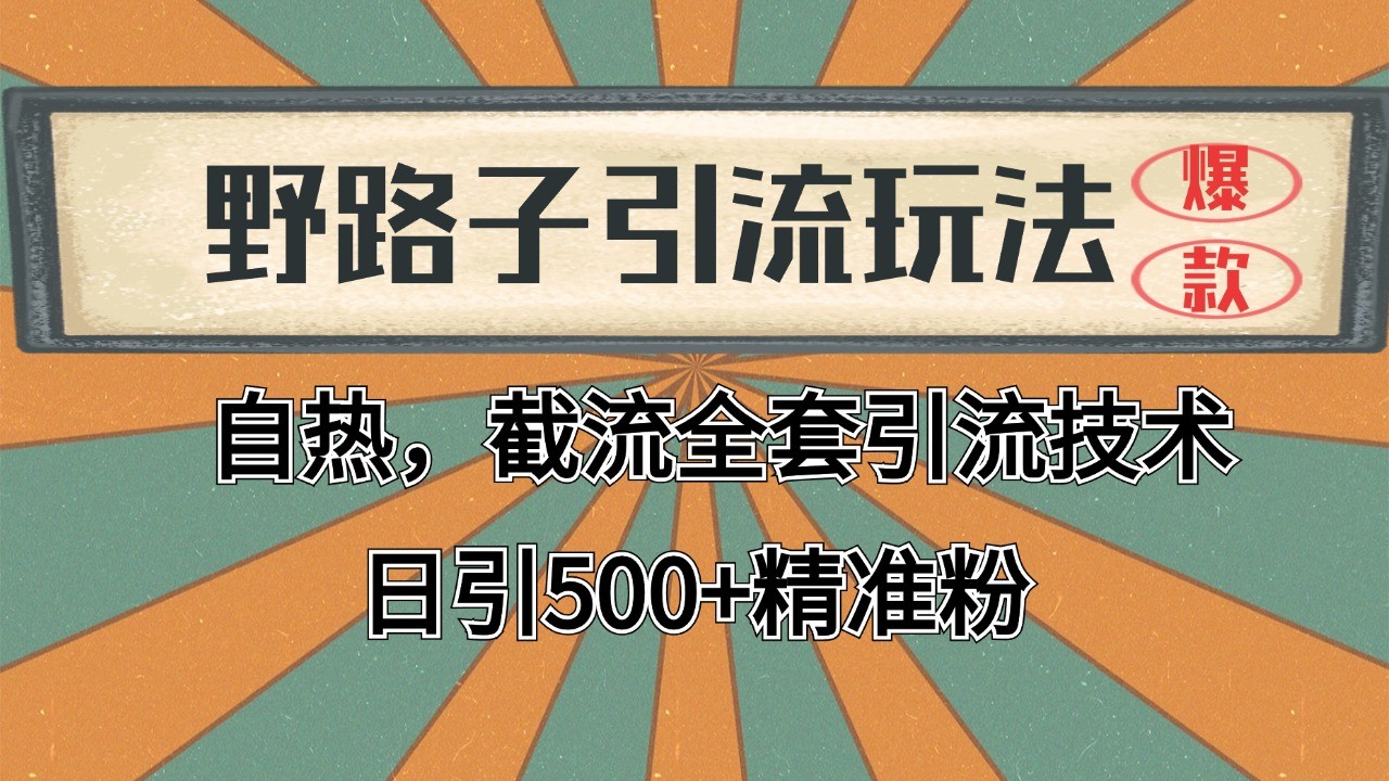 2024首发野路子引流玩法截流自热全平台打法，全自动引流【日引2000+精准客户】-恒创联盟资源网