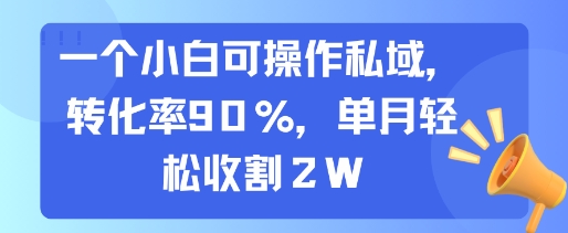 一个小白可操作私域，转化率90%，单月轻松收割2W-恒创联盟资源网