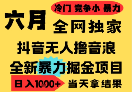 25年6月高爆抖音无人直播最新撸音浪掘金项目，小白可做，无脑日入1k+，门槛低可批量矩阵【揭秘】-恒创联盟资源网