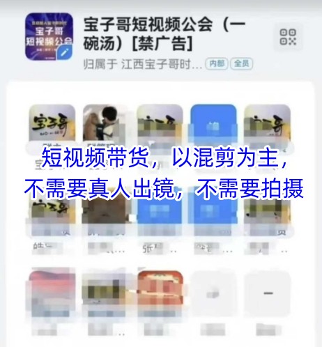 宝子哥头部团队短视频带货，以混剪为主，不需要真人出镜，不需要拍摄【更新9月】-恒创联盟资源网