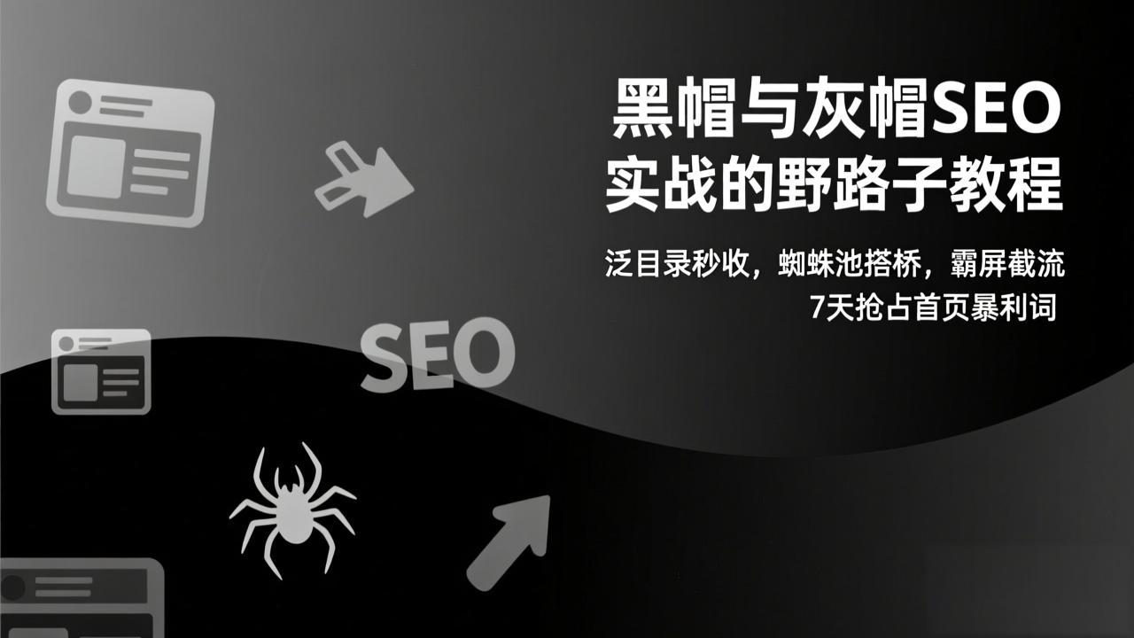 黑帽与灰帽SEO实战的野路子教程：泛目录秒收，蜘蛛池搭桥，霸屏截流，7天抢占首页暴利词-恒创联盟资源网