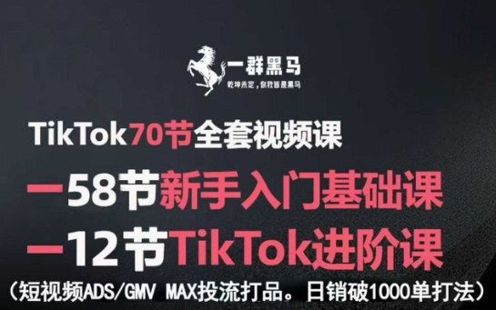 TikTok全套视频课，新手入门+进阶课，短视频ADS-GMV MAX投流打品，日销破1000单打法-恒创联盟资源网