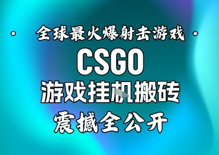 【年底大揭秘】基于全球最火爆的射击CSGO游戏挂G搬砖，日入5张+，震撼公开-恒创联盟资源网