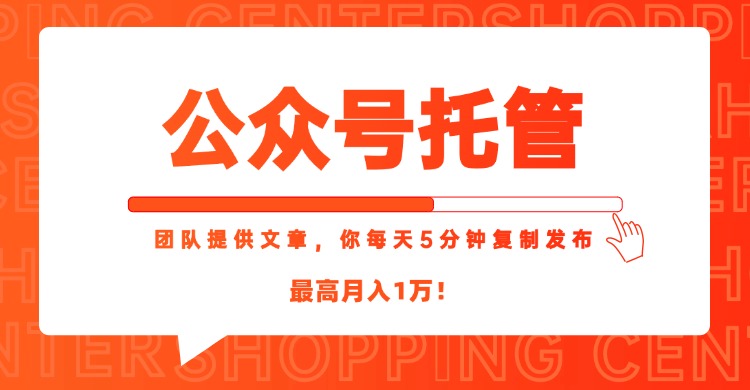 【公众号托管 】我提供文章，你每天５分钟复制发布，最高月入1W-恒创联盟资源网