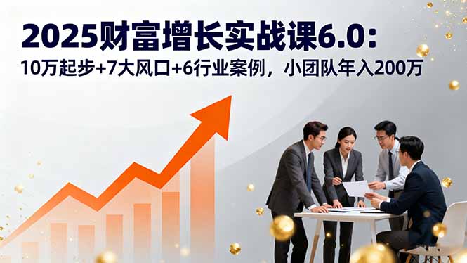 2025财富增长实战课6.0：10万起步+7大风口+6行业案例，小团队年入200万-恒创联盟资源网