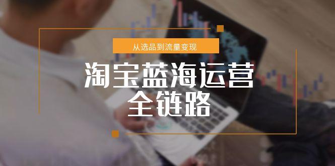 淘宝蓝海运营全链路，从选品到流量变现，小类目突围完整方案-恒创联盟资源网