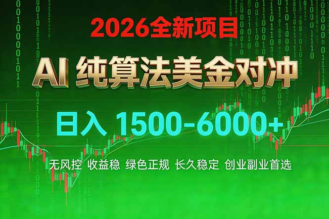 2026 全新美金对冲项目，不套平台赠金，不封号，纯算法对冲，日入 1500-6000+-恒创联盟资源网
