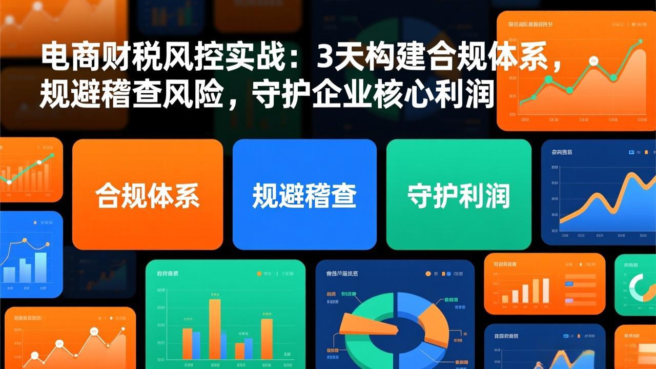 电商财税风控实战：3天构建合规体系，规避稽查风险，守护企业核心利润-恒创联盟资源网