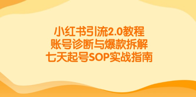 小红书引流2.0教程，账号诊断与爆款拆解，七天起号SOP实战指南-恒创联盟资源网