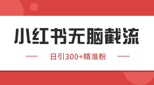 小红书截流同行客源，独家野路子获客玩法 日引200+暴力获客【揭秘】-恒创联盟资源网