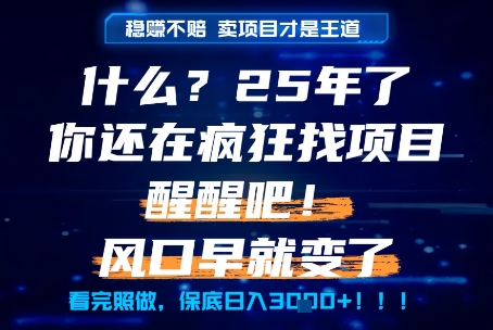 什么？25年你还在疯狂找项目做，醒醒吧，看完这些你全都懂了！【揭秘】-恒创联盟资源网