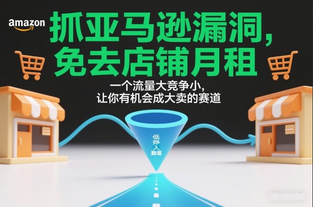 抓亚马逊漏洞,免去店铺月租,一个流量大竞争小,让你有机会成大卖的赛道-恒创联盟资源网