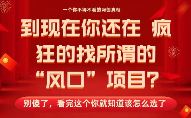 马上26年了,你还在找所谓的风口项目?别傻了,看完这个你全都懂了!【揭秘】-恒创联盟资源网