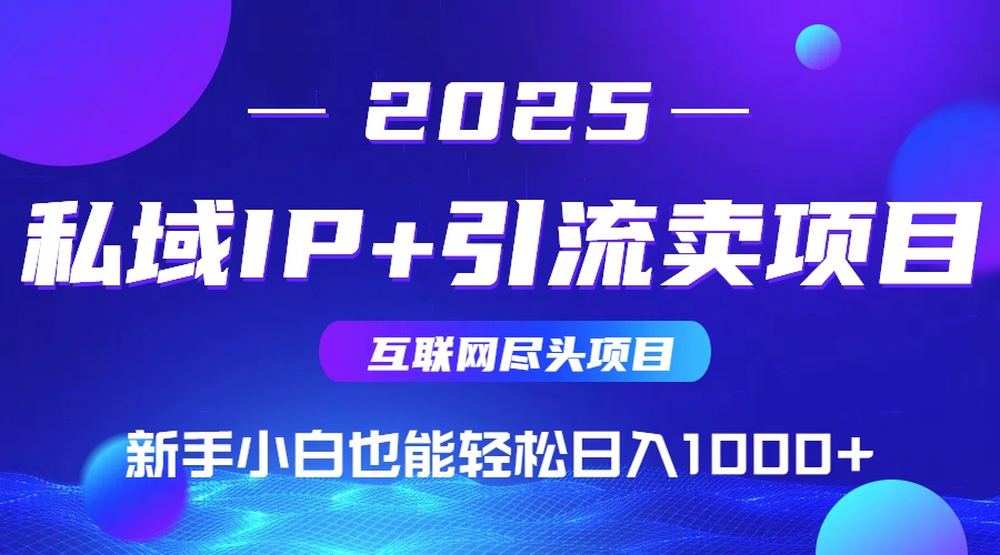 2025网创尽头项目，私域IP+引流，新手小白也能在家日入1000+-恒创联盟资源网