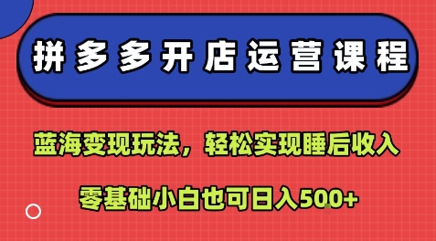 拼多多开店运营课程：蓝海变现玩法，轻松实现睡后收入，零基础小白也可日入5张-恒创联盟资源网