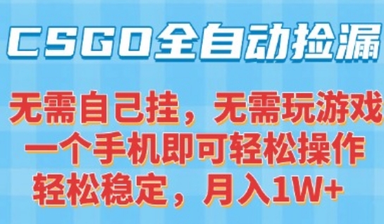 CSGO自动捡漏项目，最新独家玩法，一个手机可操作，新手小白轻松月入1W+，操作简单易上手【揭秘】-恒创联盟资源网