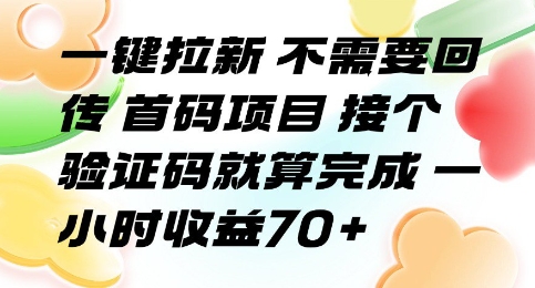 一键拉新 不需要回传 首码项目 接个验证码就算完成 一小时收益70+【揭秘】-恒创联盟资源网