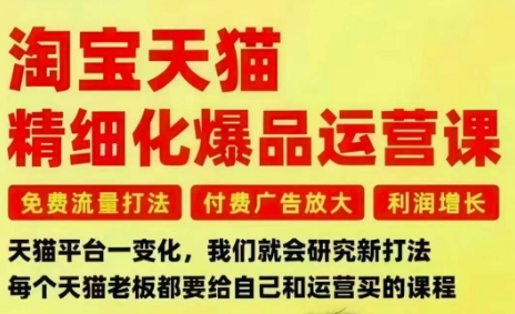 淘宝天猫精细化爆品运营课，免费流量打法-付费广告放大-利润增长-三大核心痛点，一次全部解决-恒创联盟资源网