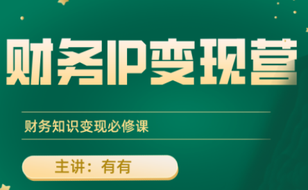 有有老师·财务IP变现营,财务知识变现必修课-恒创联盟资源网